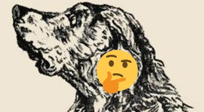 ¿Podrás encontrar los 2 rostros ocultos? Diviértete con este acertijo visual EXTREMO ¿Podrás encontrar los 2 rostros ocultos? Diviértete con este acertijo visual EXTREMO