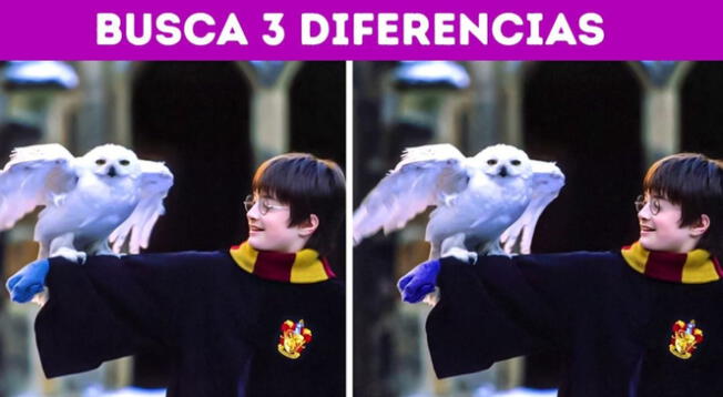 ¿Eres fanático de Harry Potter? Encuentra las 3 diferencias de la imagen en 5 segundos