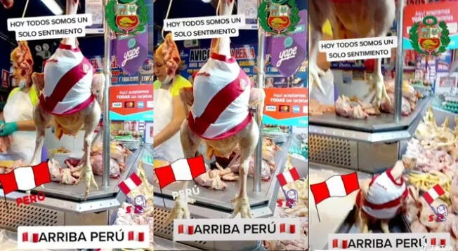 Comerciante alienta a la Selección Peruana con ayuda de sus pollos en mercado - VIDEO