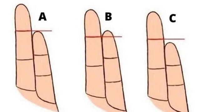 ¿Eres una persona honesta? Descúbrelo con el tamaño de tu dedo meñique en este test
