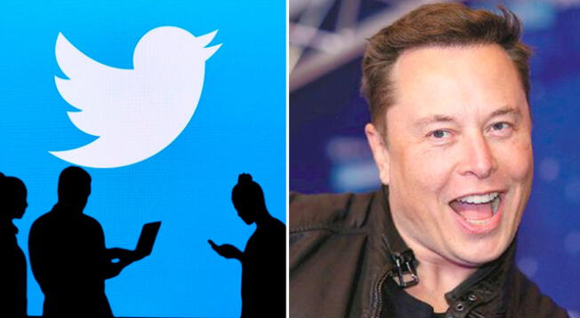 Elon Musk se convierte en el mayor accionista de Twitter y usuarios auguran nueva era