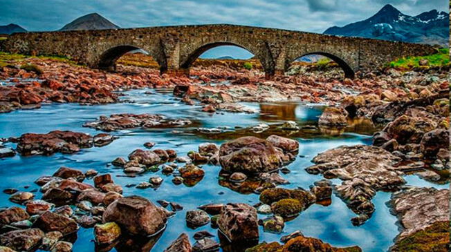 Reto visual: ¿Viste al caracol? Encuéntralo en este paisaje en 15 segundos