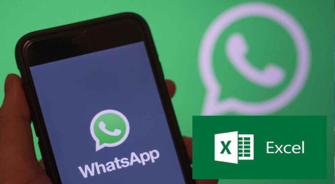 WhatsApp: Guía para exportar fácilmente todos tus contactos a un archivo de Excel