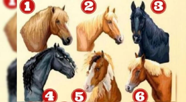 ¿Eres un líder por naturaleza? Escoge un caballo y descubre más sobre tu personalidad