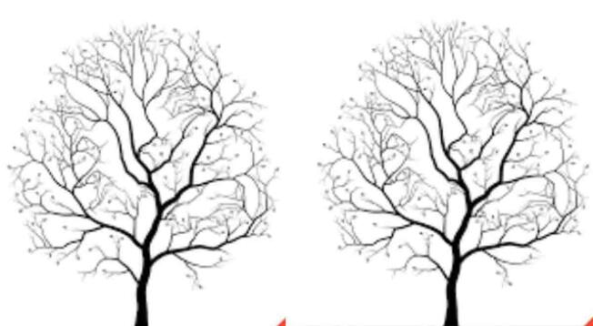¿Podrá dar con todos los animales? Encuentra el número total en este reto visual ¿Podrá dar con todos los animales? Encuentra el número total en este reto visual