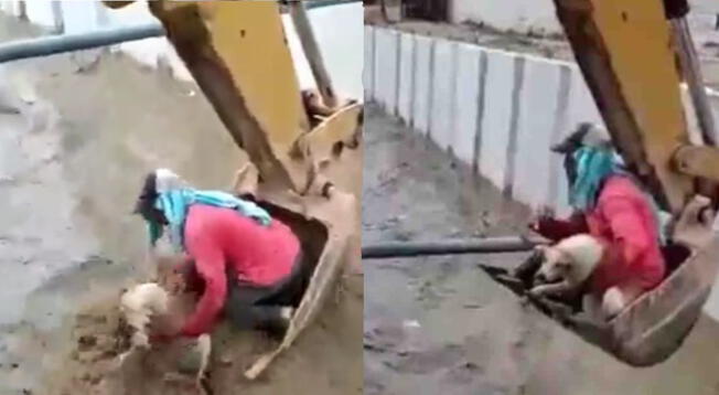 Viral: Obrero rescata a perro que era arrastrado por corriente de agua