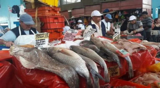 Conozca el precio de los principales pescados en Semana Santa