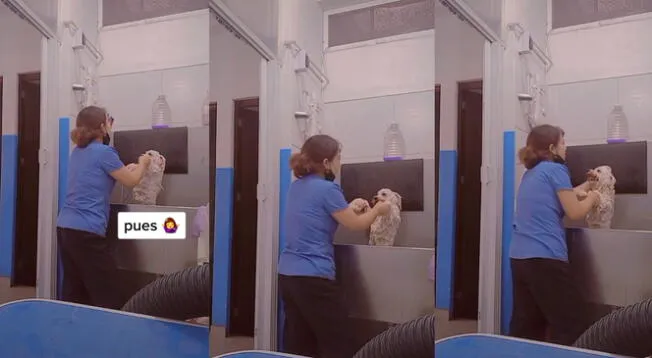 ¡Servicio completo! Perrito toma baño al ritmo de Envolver de Anitta.