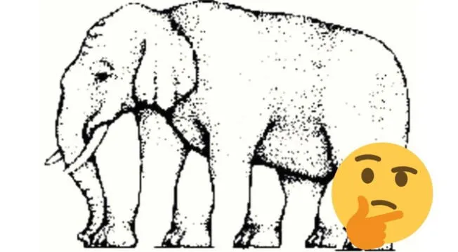 ¿Cuántas patas tiene el elefante? Anímate a superar esta ilusión óptica en 5 segundos