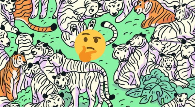 ¿Podrás hallar la cebra en la imagen? Tienes 8 segundos para superar este reto visual ¿Podrás hallar la cebra en la imagen? Tienes 8 segundos para superar este reto visual