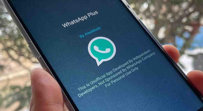 Revisa cuáles son las nuevas funciones de WhatsApp Plus versión 19.60