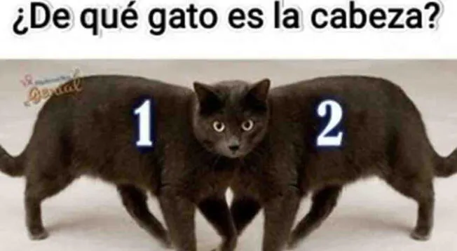 Resuelve este acertijo visual que solo el 2% logró dar con la respuesta Resuelve este acertijo visual que solo el 2% logró dar con la respuesta