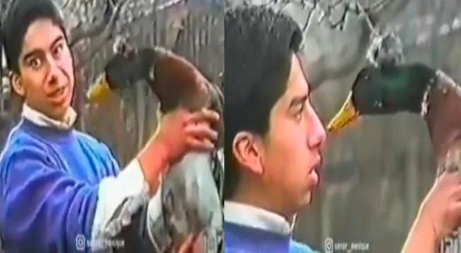 ¡Qué tal concentración! Joven pensó que haría dormir a un pato pero resultó todo mal.