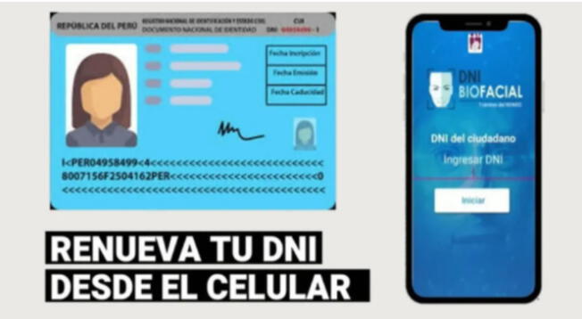 DNI: conoce como renovar este documento desde tu celular