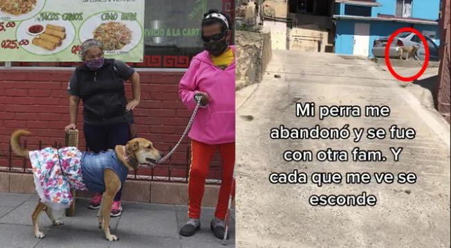 La perrita se escapó con otra familia.