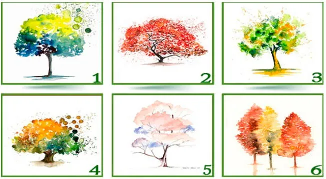 Test de personalidad: elige un árbol y conoce qué cualidades te hacen brillar entre los demás.