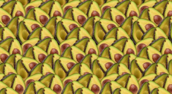 ¿Logras ver el kiwi entre las paltas? Resuelve este reto en menos de 5 segundos ¿Logras ver el kiwi entre las paltas? Resuelve este reto en menos de 5 segundos