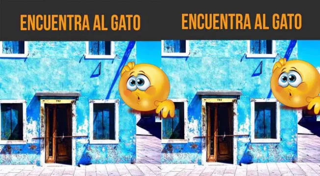 Con tu visión del halcón ayuda a una familia a ubicar a su gato perdido en la foto