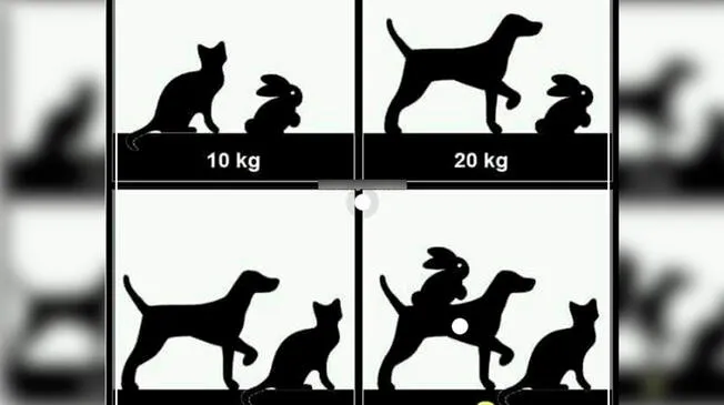 Acertijo visual: ¿cuánto pesa el perro, gato y conejo?, resuelve la serie.
