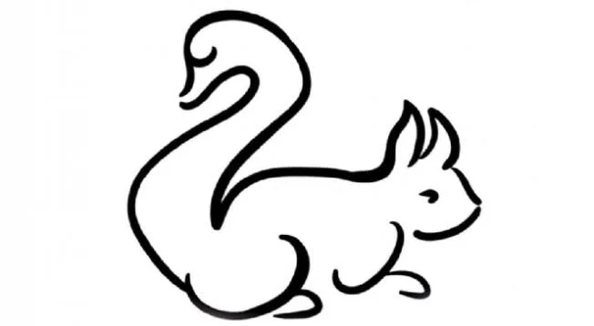 ¿Cisne o ardilla?: Tu respuesta revelará si eres una persona pasional ¿Cisne o ardilla?: Tu respuesta revelará si eres una persona pasional