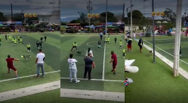 Mascota se roba una pelota de fútbol durante un partido y es perseguido por jugadores