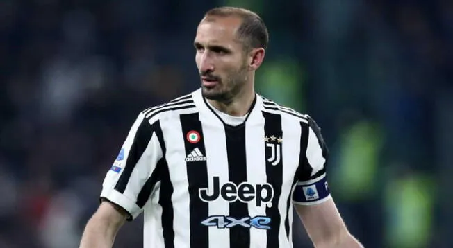 Giorgio Chiellini llegó a la Juventus en la temporada 2005/06.