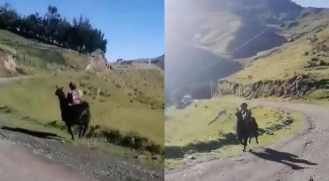 Niño cusqueño es captado usando una llama para llegar a su colegio - VIDEO