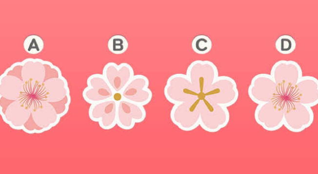 ¿Qué flor te gusta màs? Tu respuesta revelará rasgos de tu personalidad ¿Qué flor te gusta màs? Tu respuesta revelará rasgos de tu personalidad