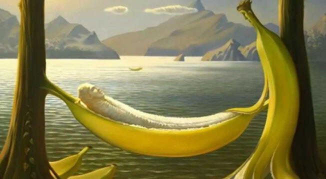 ¿Plátanos o paisaje? Lo primero que veas revelará tu personalidad
