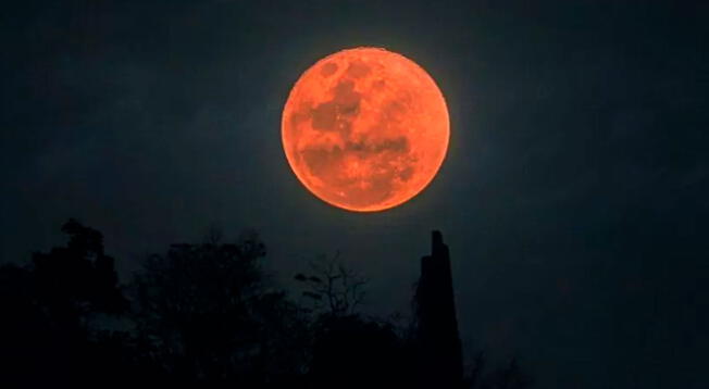 Eclipse lunar 2022 EN VIVO: Sigue aquí la transmisión de la Luna roja