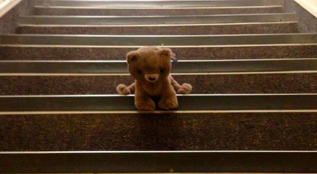 Reto visual: ¿El oso está cayendo? Resuelve este misterio en apenas 10 segundos Reto visual: ¿El oso está cayendo? Resuelve este misterio en apenas 10 segundos