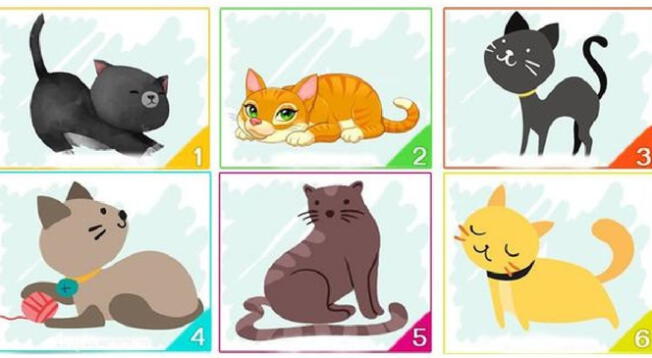 Elige uno de los seis gatos que aparecen en la imagen y luego desplázate hacia abajo para saber más sobre ti.