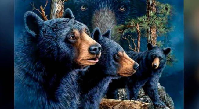 ¿Cuántos osos ves? Tu respuesta revelará si eres paciente