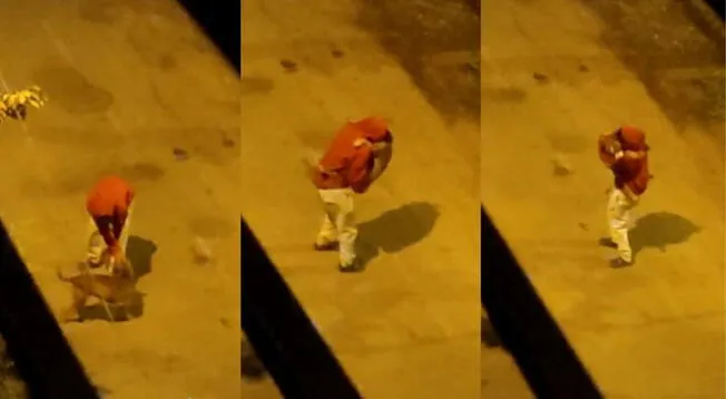 ¡Pura felicidad! Joven es captado bailando con su amigo perruno - VIDEO