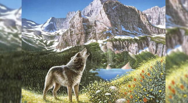 Solo los mejores han podido encontrar a los 3 lobos ocultos en la imagen. ¿Crees poder hacerlo en tiempo récord? Solo los mejores han podido encontrar a los 3 lobos ocultos en la imagen. ¿Crees poder hacerlo en tiempo récord?
