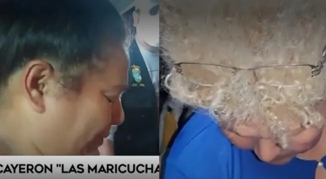 Las maricuchas de Comas: se realizó la captura de una banda dedicada a la venta de drogas