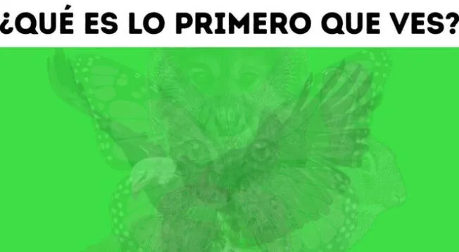 ¿Qué animal fue el primero que viste? Resuelve este test de personalidad