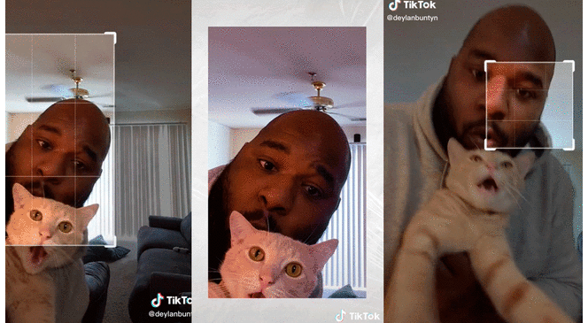 TikTok: quiso superar reto fotográfico con su gatito y reacción del felino se vuelve viral