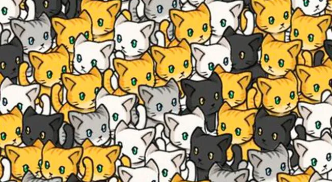 Reto visual: ¿Dónde están los gatos diferentes? Descifra el misterio en 10 segundos Reto visual: ¿Dónde están los gatos diferentes? Descifra el misterio en 10 segundos