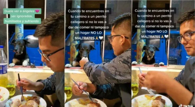 Joven comparte pollito a la brasa con perro sin hogar que lo miraba por la ventana