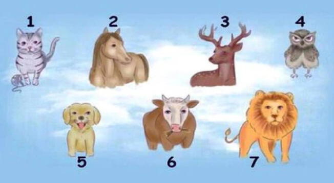 ¿Con qué animal te identificas? Conoce a través de este test qué característica te define