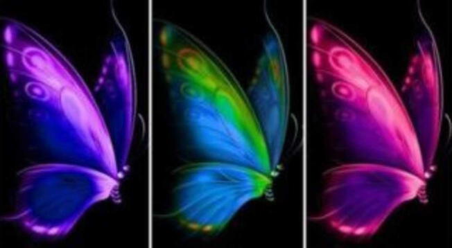 Conoce detalles de tu personalidad a través de las mariposa