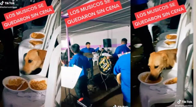 TikTok: perro aprovecha descuido de músicos y roba comida en cuestión de segundos