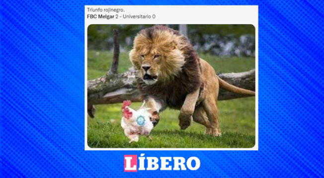Hoy el 'león' salió al campo con todas las ganas de conseguir el triunfo Hoy el 'león' salió al campo con todas las ganas de conseguir el triunfo