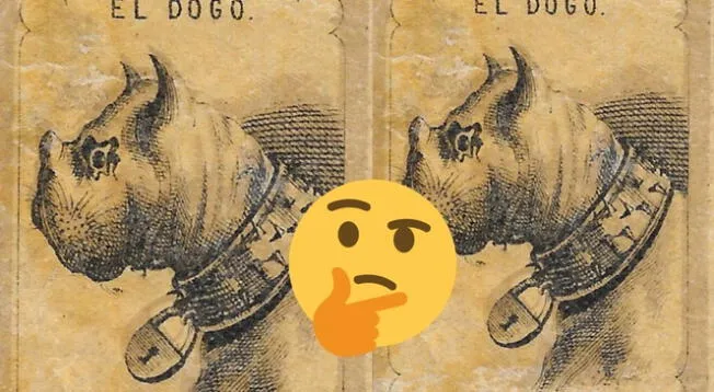 ¿Podrás encontrar al dueño del perro? Atrévete a superar este reto en tiempo récord ¿Podrás encontrar al dueño del perro? Atrévete a superar este reto en tiempo récord
