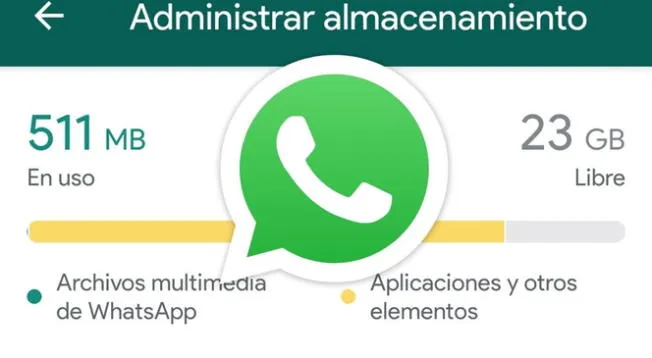 Aprende cómo identificar el chat de WhatsApp que está ocupando más espacio en tu teléfono