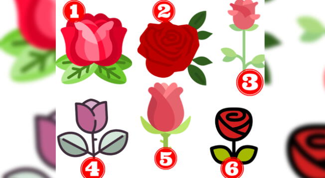 Test de personalidad: elige una rosa y descubre 'detalles sorprendentes' sobre tu vida Test de personalidad: elige una rosa y descubre 'detalles sorprendentes' sobre tu vida