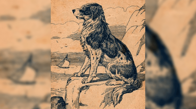 ¿Logras ver al dueño del perro? Te desafiamos a superar el reto en 5 segundos ¿Logras ver al dueño del perro? Te desafiamos a superar el reto en 5 segundos