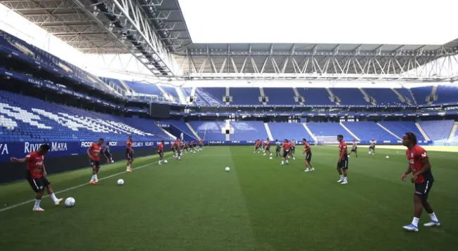 La Selección Peruana enfrentará este domingo 05 de junio a Nueva Zelanda.