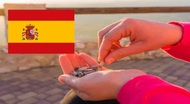 Sabías qué las pipas son las semillas de los girasoles y su venta es muy popular en España.